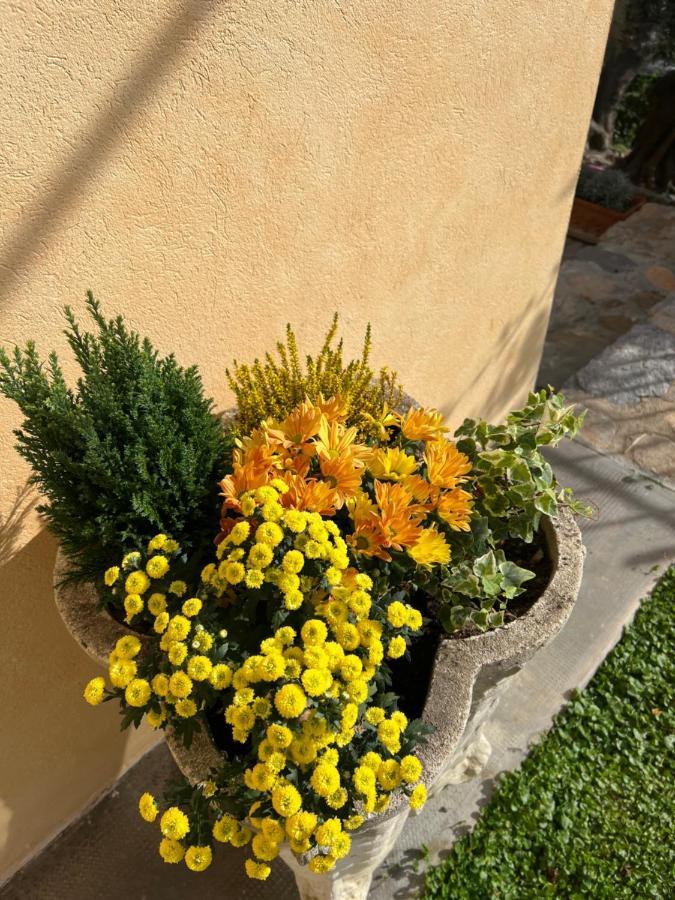 Agriturismo Le Merline Arnasco Bagian luar foto